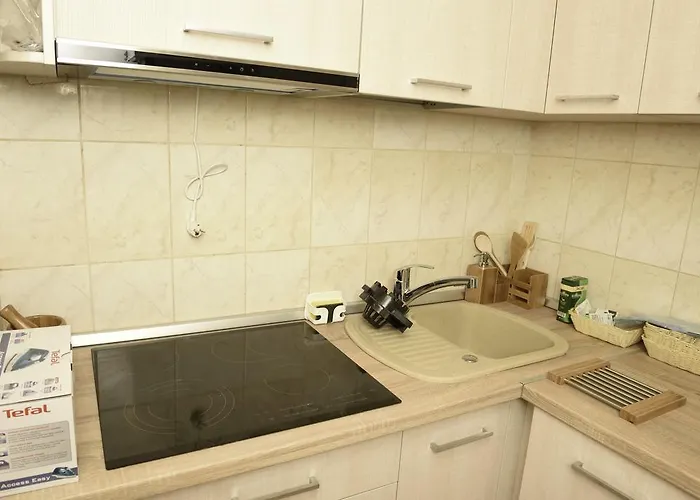 Modern Old Town Ap. Baritiu *