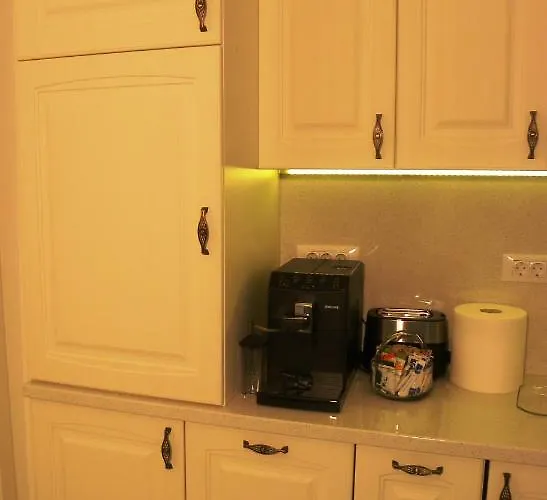 Lägenhet Modern Old Town Ap. Baritiu