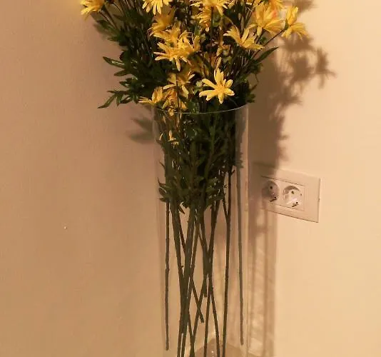 Modern Old Town Ap. Baritiu Cluj-Napoca